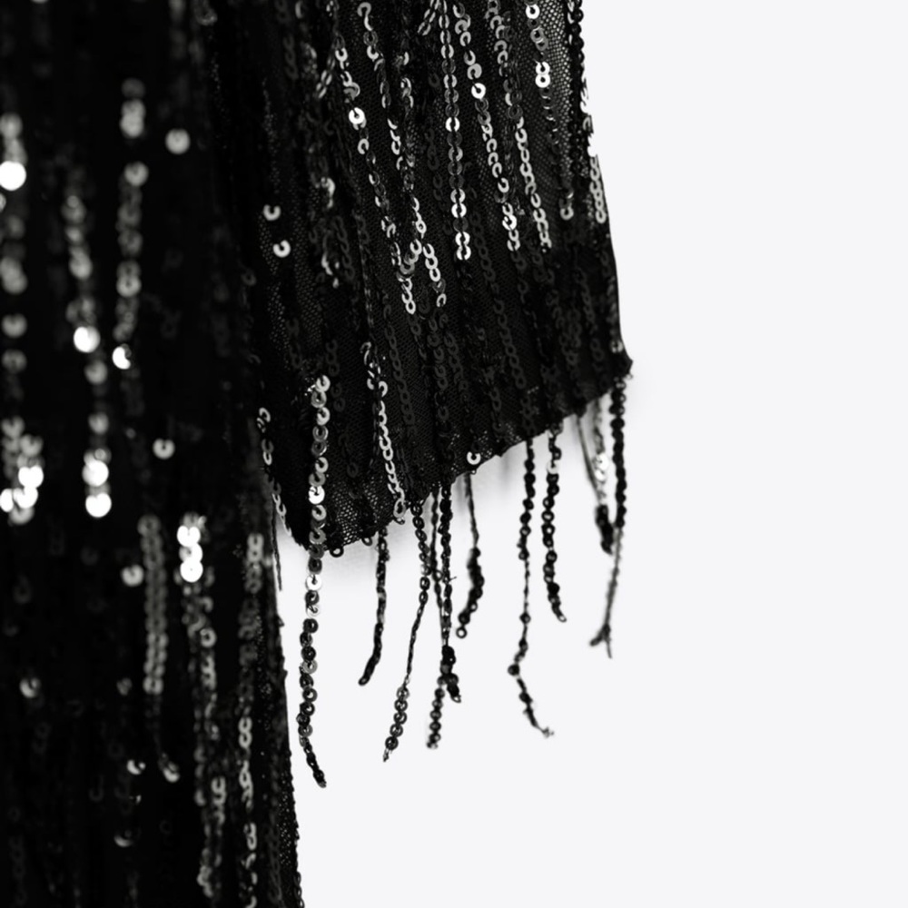 NWT Zara Sequin Fringed Mini Dress - Picture 5 of 9